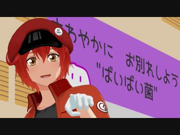 【MMDはたらく細胞】赤血球で『君の彼女』