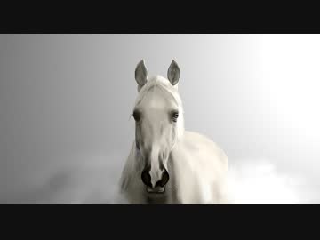 ゆっくりが解説する地方競馬列伝　第３０話