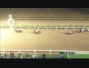 2018年12月2日佐賀競馬11R 佐賀ウインターダッシュ(A1・A2) シゲルクロマグロ