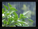 【歌の練習２】rain stops, good-bye