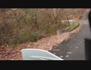 滝畑ダム林道2