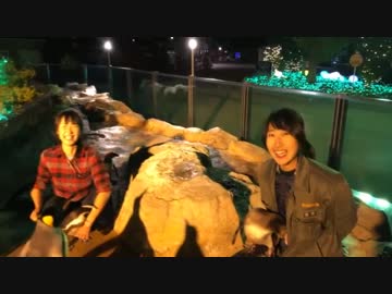 ぶらりペンギン舎散歩 2018/11/18