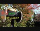 【ASMR】風強い山の中で耳かき【立体音響】