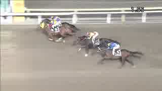 2018年12月3日大井競馬11R ブルージルコン賞(B1-三・B2-一) トミケンジョメルト