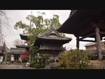 【ゆっくり】徒歩で日本一周part460【徳島→勝浦】