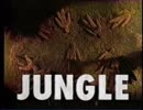 JUNGLE 人形編 30秒ver