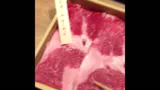人気の しゃぶしゃぶ温野菜 動画 本 ニコニコ動画