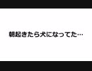 朝起きたら犬になってた・・・第一話「出会い」