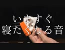 【ASMR】シリコンブラシを使って耳ブラッシング / SR3D【音フェチ】