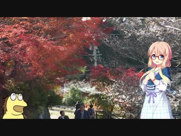 そらとジムニーと、ときどき車載　その2【岩村】