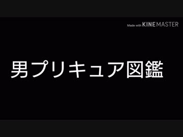 男プリキュア図鑑