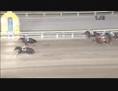 2018年12月4日大井競馬10R アーバンステージ師走賞(JRA500万下・B2B3) タマノシュタルク