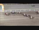 2018年12月4日大井競馬11R ターコイズ賞(A2-一・B1-一) コパノビジン