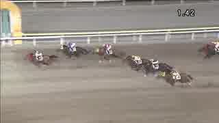 2018年12月4日大井競馬11R ターコイズ賞(A2-一・B1-一) コパノビジン
