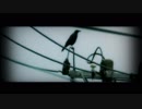 映画「HINA」予告編