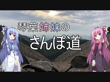 琴葉姉妹のさんぽ道　sector.01