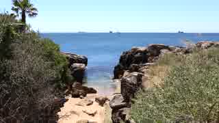 Path To The Sea　西川輝寿