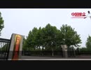 China-Recommendation----An Open City, Lu Quan