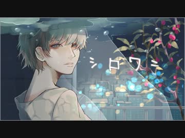 シロワニ feat.アヤネル・ジ・エンド