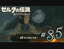 新作ゼルダを風タクしかやったことないうp主がプレイしてしまった part85