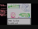ポケモン金をトゲピー1匹でクリア　Part6