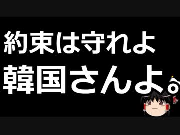 【ゆっくり保守】韓国元外相「日本は心にゆとりを持て！」