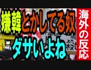 【海外の反応】嫌韓してる奴ってダサいよね【世界の反応】