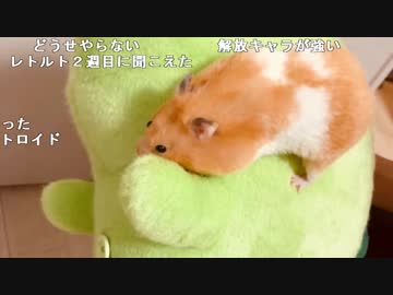 【ニコ生】もこう『語る』1/2【2018/12/07】