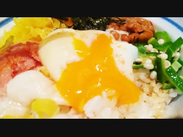 【食レポ】新宿の思い出横丁にある、てらだ屋でまかない丼を食う！【VLOG】