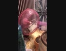 二ハム八脚