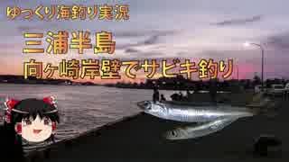 釣ったイワシをマリネでいただきます。【三浦半島向ヶ崎岸壁の釣り】2018年8月の釣り