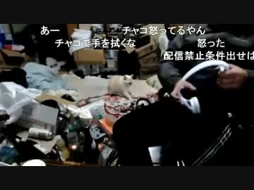 【猫動画】チャコちゃんの攻撃【３時】18/12/06