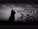 【洒落怖】ついてきた子犬