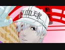 【MMDはたらく細胞】白血球が『君色に染まる』