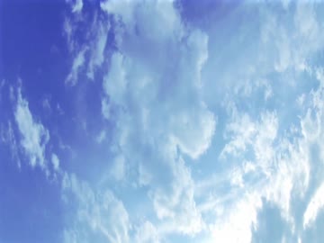 【癒し動画】木枯らしの音と枯葉が舞い落ちる音（睡眠用BGM・作業用BGM・ASMR）