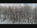 道民だって北海道を旅したい～番外～（雪景色）ドローン練習中