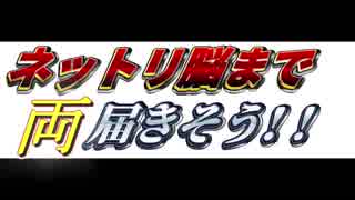 [ＡＳＭＲ]　ねっとりと脳を犯すような耳舐め　両耳同時版　[肉声・吐息無し]