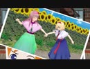 休日のICGN