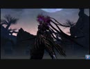 【PSO2】  異世界の残滓深度25 Hr