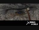 【Rising World】日曜Rising部 第33回 1/2 【実況】