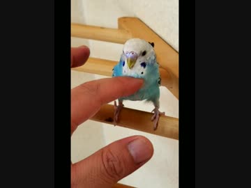 ナデナデ(*´ω｀*)