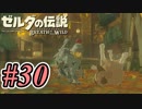 【ゼルダ実況】This is 最高に有頂天GAWARA  #30 【ゼルダの伝説ブレスオブザワイルド】