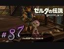 新作ゼルダを風タクしかやったことないうp主がプレイしてしまった part87