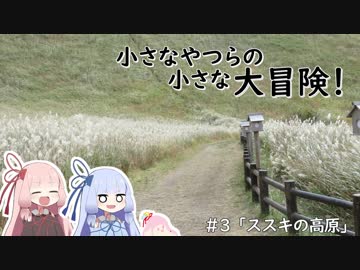 小さなやつらの小さな大冒険！♯3「ススキの高原」