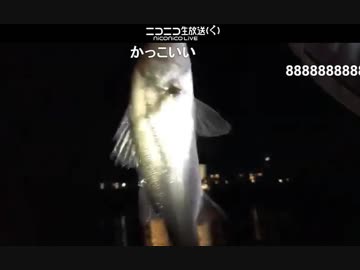 釣り　１時間で３連発　