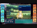 奔放なポケモン対戦記録　その１１【大乱闘サンドブラザーズ　編】