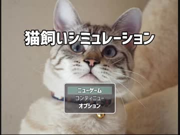 【単発実況】ねこ！ねこ飼いたい！【猫飼いシミュレーション】