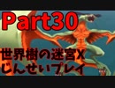 【シリーズ未経験者にもやさしい】世界樹の迷宮X　人生縛りプレイ part30