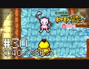 【実況】全386匹と友達になるポケモン不思議のダンジョン(赤) #30【040/386～】
