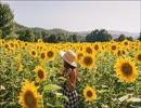 OTOHICO：ひまわり